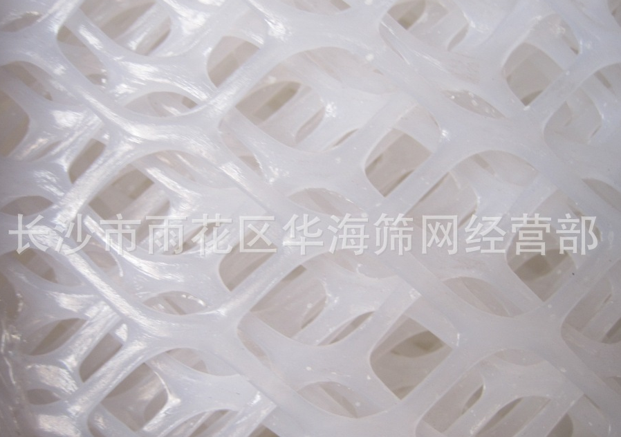 塑料平網(wǎng) 塑料平網(wǎng)