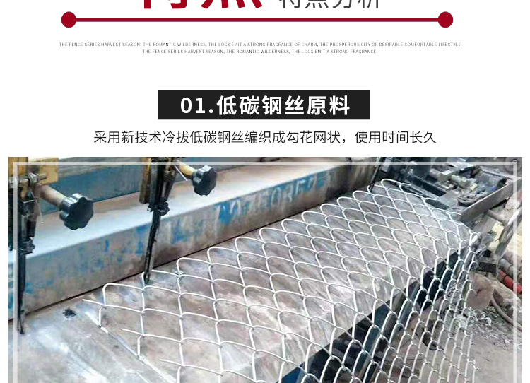 球場護欄網(wǎng)